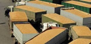 Експорт агропродукції автотранспортом знижується на всіх напрямках, крім Польщі, – аналітики