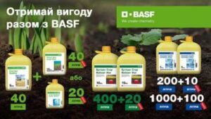 Компанія BASF оголосила про старт осінньої промо кампанії: що пропонують аграріям