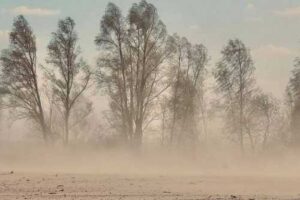 Через зміну клімату Україна може втрачати 70% врожаю