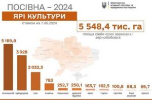 Весняну посівну завершено: засіяли майже 13 млн га
