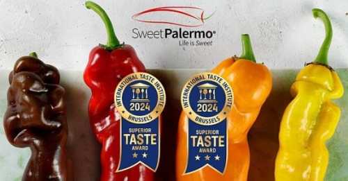 Перці від Rijk Zwaan високо оцінили в Міжнародному інституті смаку - INFBusiness