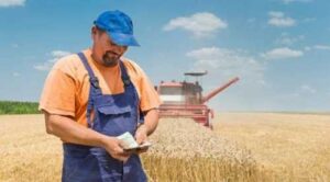 Зарплати в агросекторі: скільки платять