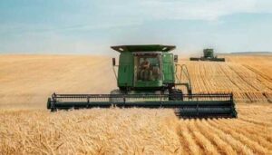 Цьогоріч в Україні планують зібрати 74-76 млн тонн зернових та олійних культур