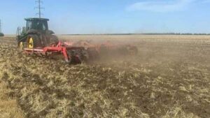 На Миколаївщині готуються сіяти озимий ріпак