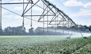 Аграрії зможуть отримати до 50% компенсації витрат за будівництво та реконструкцію меліоративних систем