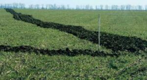 На Миколаївщині фермер самовільно захопив земельну ділянку