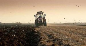 Прийом заявок на отримання дотацій на 1 гектар угідь призупинили