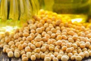 Експорт сої знизився, основні покупці – переробники