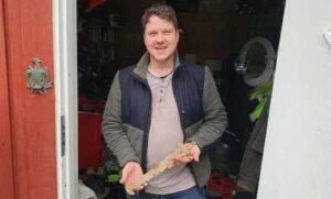 Норвезький фермер під час польових робіт знайшов меч, якому понад тисячу років