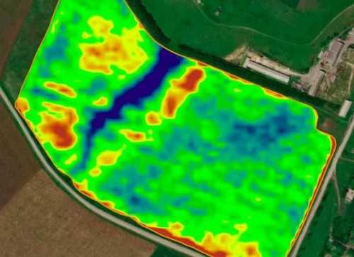 Kernel продовжує розвивати ШІ-технології для визначення потенціалу продуктивності полів - INFBusiness