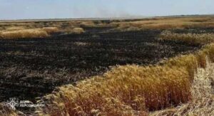 На Херсонщині окупанти за допомогою дронів підпалюють поля з пшеницею