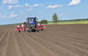 На півдні України триває посівна овочів другого врожаю