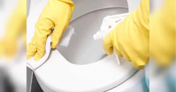 Унітаз буде як новий, без жодної цяточки: Марина Жукова порадила новий чудо-засіб - INFBusiness