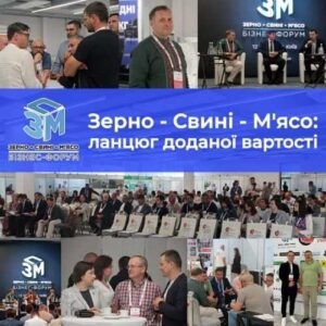 Зерно – Свині – М’ясо: ланцюг доданої вартості