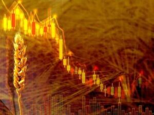 Запровадження мінімальних експортних цін поставить під ризик половину українського експорту, – УЗА