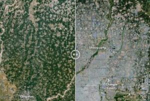 За 40 років площі під теплицями виросли в понад 40 разів – найбільше в Китаї