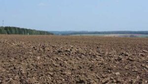 Субсидії на оброблювані угіддя та утримання худоби: прийом заявок розпочинається завтра