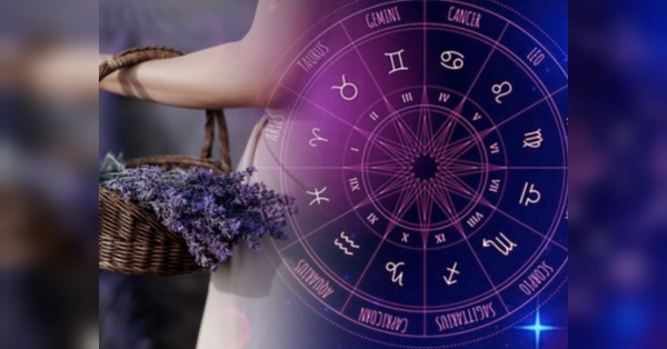 Дівам — важлива інформація, Козорогам — вдалі переговори, а Тельцям — перспективна пропозиція: що обіцяють зорі на 17 червня - INFBusiness