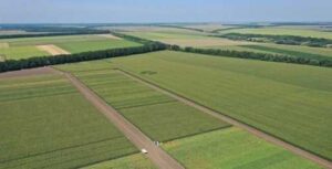 Фонд держмайна проведе в кінці липня перші аукціони з оренди держземель