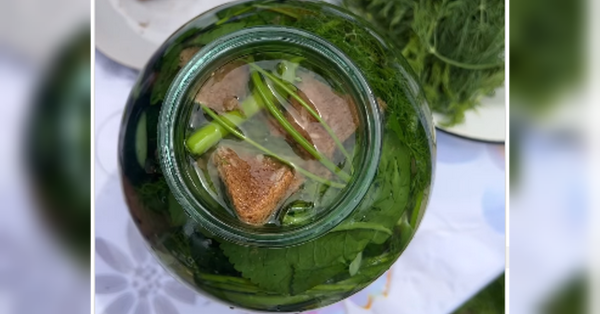 Хрумкі малосольні огірочки: рецепт з «Бородинським» хлібом - INFBusiness