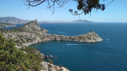 Тепер хоч каміння з неба: через відсутність туристів продажі вина в Криму впали втричі