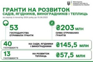 За програмою єРобота з початку року виплатили 203 млн грн