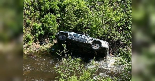 У США собака пробіг шість кілометрів, щоб допомогти господареві, який розбився на машині - INFBusiness