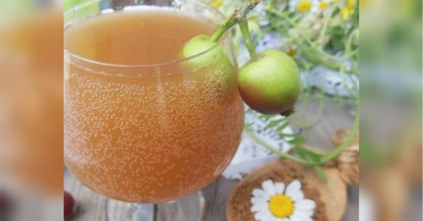 Яблучно-кавовий квас: освіжить у спекотні дні - INFBusiness