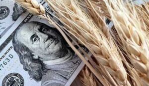 Закон про мінімальні експортні ціни містить ризики для зернового ринку, – УЗА