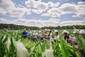 Жінки в Агро: додатковий освітній модуль для фахівчинь від «Сингента»