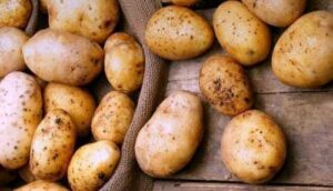 Сезонний фактор вдарив по цінах на картоплю