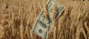 НБУ збільшив строки повернення валютного виторгу для агропродукції до 120 днів