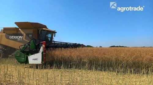 У Групі АГРОТРЕЙД стартували жнива-2024 - INFBusiness