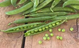 Фермери можуть розраховувати на сприятливі умови для реалізації гороху, – аналітики