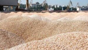 Румунія планує збільшити обсяг українського зерна, що проходить транзитом Дунайським коридором