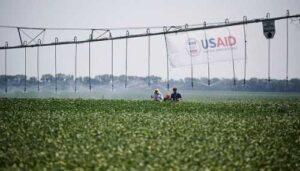Завдяки реалізації 18 проєктів із відновлення меліоративної інфраструктури аграрії збільшать площі під зрошенням на 6 тис. га, – USAID АГРО