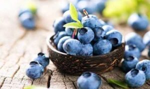 Сезон лохини 2024: аномально ранній початок та рекордно низькі ціни