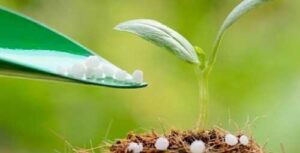 Світові ціни на карбамід можуть вирости