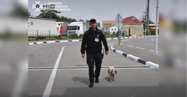 Повістки не роздають: у Держприкордонслужбі пояснили, що роблять співробітники ТЦК у пунктах пропуску на кордоні - INFBusiness