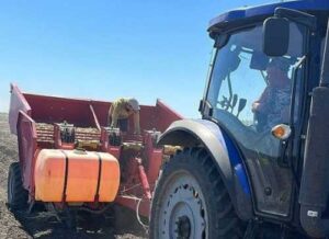 ПАЕК висаджує картоплю другого обороту