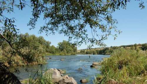 Прибережну захисну смугу Південного Бугу повернули громаді на Кіровоградщині - INFBusiness