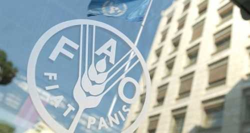 ФАО шукає українських підрядників для закупівлі систем крапельного зрошення та засобів для дезінфекції - INFBusiness