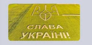 В Україні встановлять новий аграрний рекорд: найбільший герб та напис “Слава Україні!” на полі соняшнику