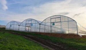 Понад 10 млн грн грантової підтримки отримали ще 5 агропідприємств на нові сади та теплиці