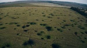 Україна втрачає понад $11 млрд щорічно через заміновані території