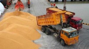 Учасники зернового ринку та уряд узгодили граничні обсяги експорту зернових