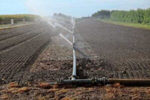 Україна потребує модернізації системи зрошення через зміну клімату і воєнні дії, – Тарас Висоцький