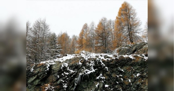 Чекайте на прохолоду та мокрий сніг: синоптикиня розповіла про погоду на найближчий тиждень - INFBusiness