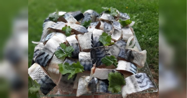 Дуже смачна маринована скумбрія: легкий рецепт вас здивує - INFBusiness