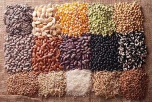 У Львівській області триває програма відшкодування вартості насіння